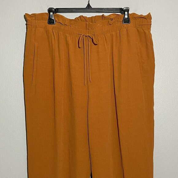 Eileen Fisher Women Pants Slacks Trousers Size L Fall Pumpkin Elastic Workwear - Picture 3 of 10